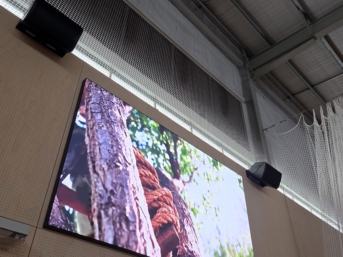 Aurora VSPEC 180" Video Wall with AOB Impact Shield — landscape orientation, Ramlegh Park gymnasium