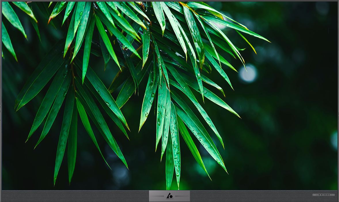Art Frame Mode displaying lush bamboo leaves on the Aurora LED wall