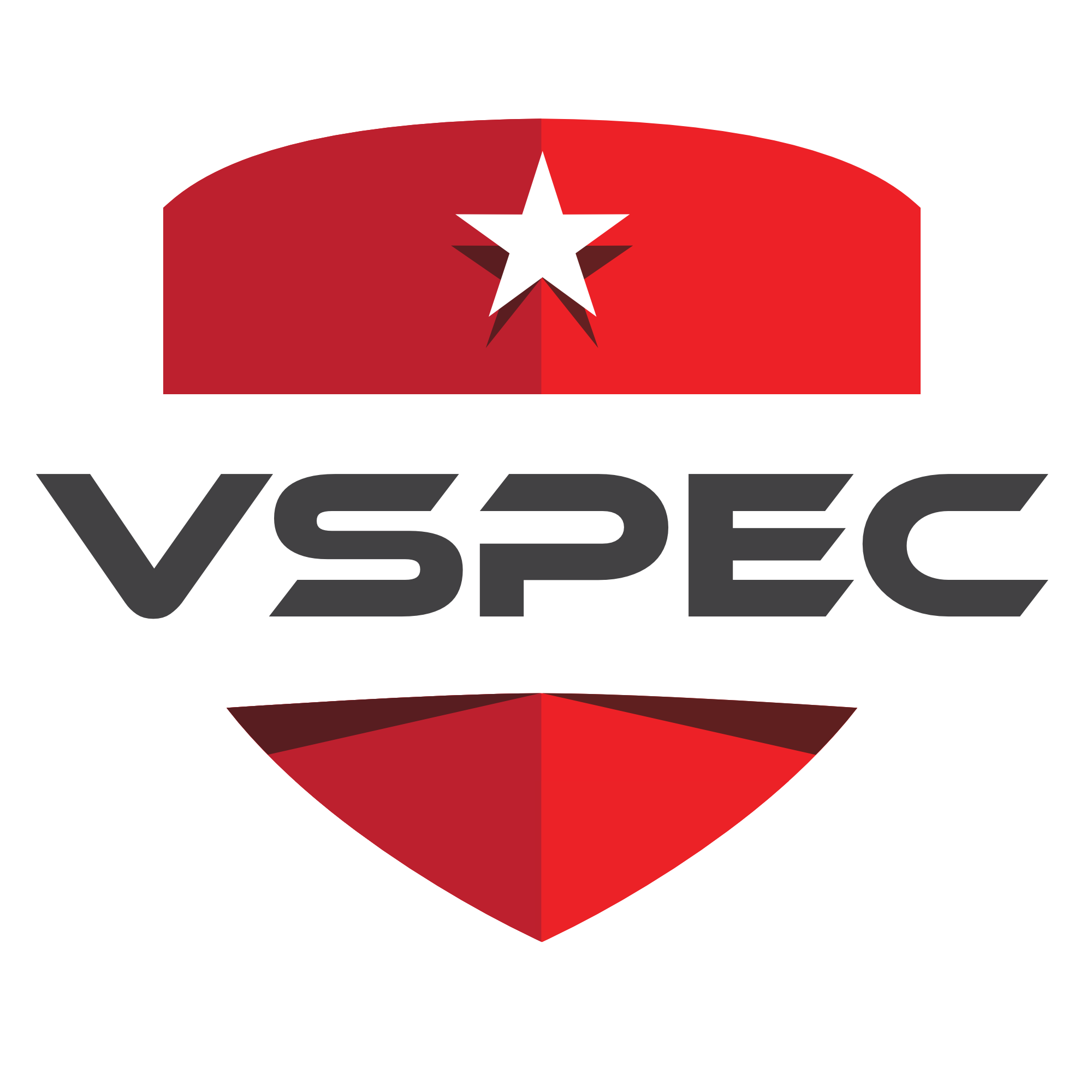 V-SPEC range